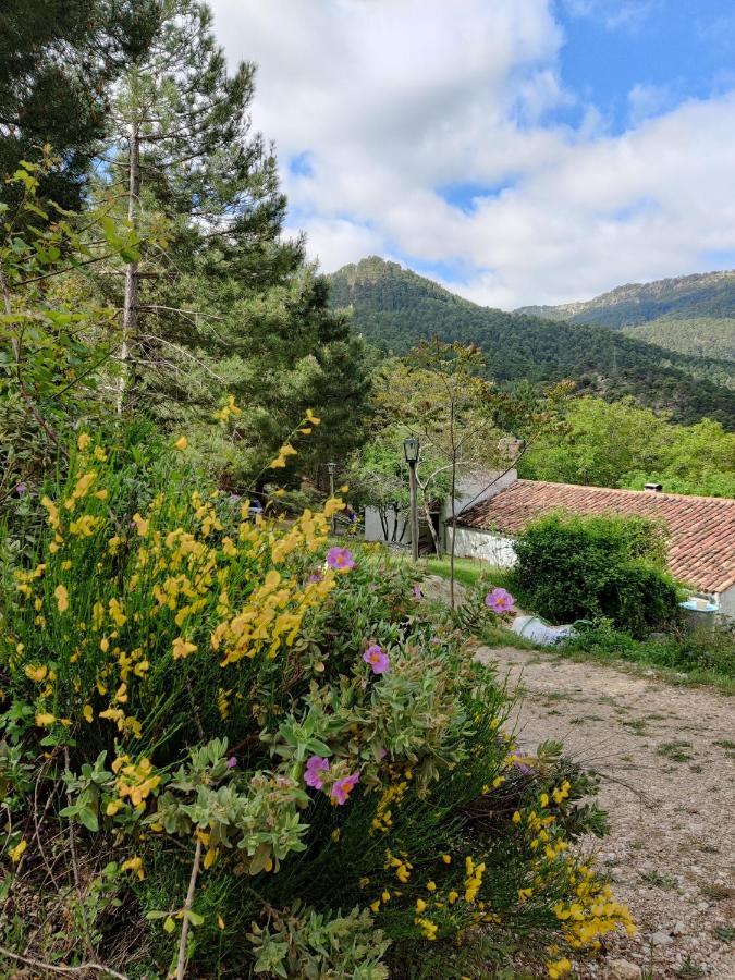 Holiday home Rural El Seminario *