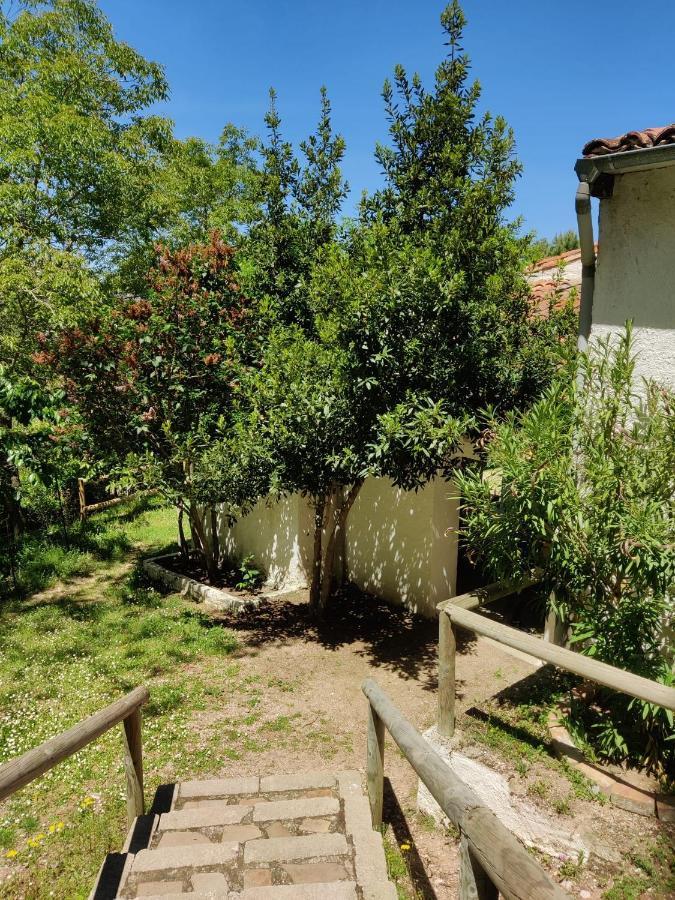 Vakantiehuis Rural El Seminario